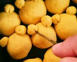 南瓜の手ごねちぎりぱん作り方12写真