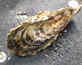 カキフライにおすすめ!牡蠣のむき方作り方2写真