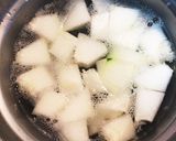 お肌ぷるぷる♡ 手羽と冬瓜のカレー煮作り方1写真
