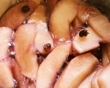 自宅用マクロビオティックアップルタルト作り方1写真