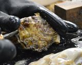 カキフライにおすすめ!牡蠣のむき方作り方8写真