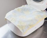 プロが教える炊飯器で作る甘酒の作り方作り方2写真