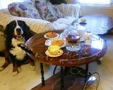 オレンジ色のスイートポテトタルト作り方21写真