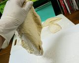 絶品4種チーズ耳までチーズ鮭としらすピザ作り方6写真