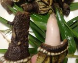 簡単♪亀の手の塩茹で♪食べ方作り方4写真