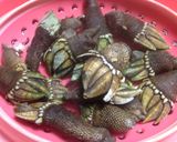 簡単♪亀の手の塩茹で♪食べ方作り方3写真