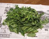 ピーマンの葉の煮物作り方1写真