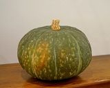 ハロウィンのかぼちゃでオシャレなペンネ作り方1写真