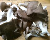 霜降りひらたけと ツナの炊き込みご飯♪作り方2写真