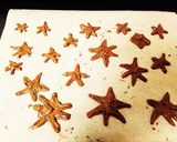 粉雪のクリスマスツリーチョコ作り方5写真