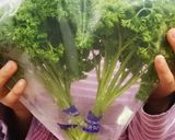 簡単便利！生パセリの保存作り方3写真