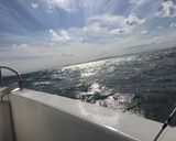 太刀魚づくしの海鮮混ぜごはん!(^^)!作り方1写真