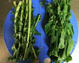 大根の葉の胡麻和え作り方1写真