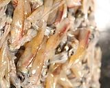 ほたるいかと、たけのこでオイル系パスタ作り方1写真