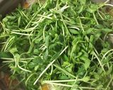 創味シャンタンで野菜たっぷり!豚シャン鍋作り方8写真