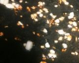 ジャコとセロリの葉っぱパスタ作り方3写真