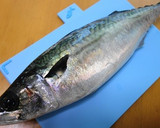 魚ののさばきかた☆初めてでもできる！作り方1写真