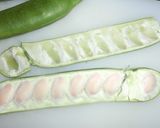 なた豆の料理方法☆塩ゆで作り方2写真