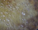 いちじくソース作り方6写真