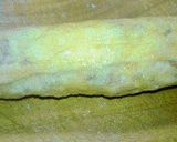 「大豆のお肉」の親子巻き　信田巻風作り方9写真
