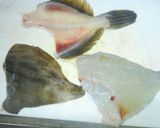 カワハギの薄皮の剥きかた作り方3写真