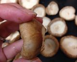 簡単☆椎茸ツナマヨネーズ詰め焼きだZE!作り方4写真
