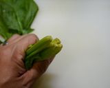 簡単!とんかつアレンジ(ミラノ風)作り方2写真