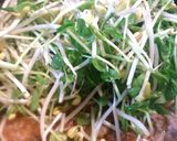 キムチ入りビビンバ風炊き込みご飯作り方8写真
