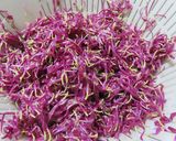 かきのもと（食用菊）の酢の物作り方6写真