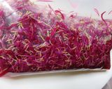 かきのもと（食用菊）の酢の物作り方8写真