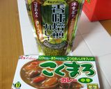 本格風☆ウチのカレーねぎトッピング!作り方11写真