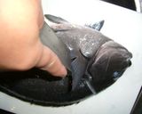魚を捌こう！メジナ刺身編作り方3写真
