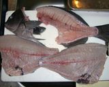 魚を捌こう！メジナ刺身編作り方6写真