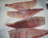 魚を捌こう！メジナ刺身編作り方11写真