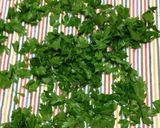 ♪簡単♪胃に優しい野菜のスープ作り方6写真