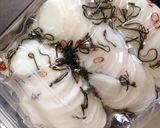 簡単！らっきょう酢で千枚漬け風作り方2写真