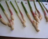 新生姜の豚肉巻き揚げ作り方1写真