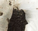 クッキークリーム（トースト用）作り方4写真
