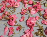 我が家の八重桜（関山）の塩漬け♪作り方20写真