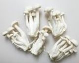 きのこ香る♪具だくさん具雑煮作り方1写真