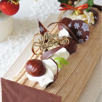 ヴァローナ ブッシュドノエル型 ヴァローナ ビュッシュドノエル型 大10個