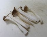 簡単!みそ風味のカキグラタン作り方4写真