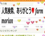 ごはんがすすむ✨シャケのみそバタ炒め作り方12写真