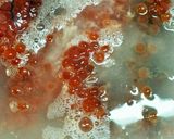 ⭐いくら醤油漬け作り方4写真