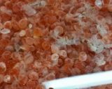 ⭐いくら醤油漬け作り方6写真