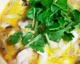 【覚え書き】親子丼(皿)作り方7写真