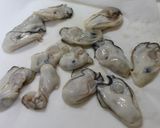 簡単!みそ風味のカキグラタン作り方6写真