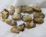簡単!みそ風味のカキグラタン作り方8写真