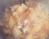 簡単☆鶏肉と大根のさっぱり煮作り方2写真