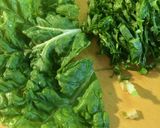 エコ☆葉物野菜の外葉のサラダ作り方1写真